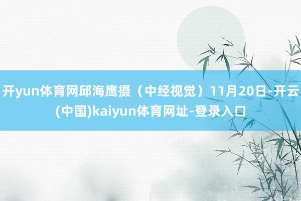 开yun体育网邱海鹰摄（中经视觉）11月20日-开云(中国)kaiyun体育网址-登录入口