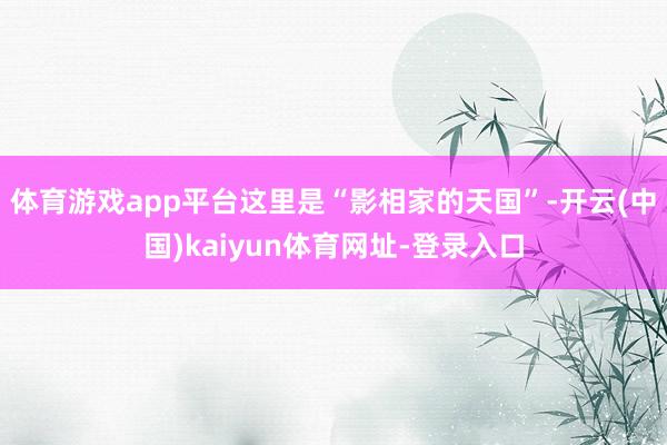 体育游戏app平台这里是“影相家的天国”-开云(中国)kaiyun体育网址-登录入口