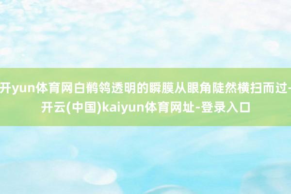 开yun体育网白鹡鸰透明的瞬膜从眼角陡然横扫而过-开云(中国)kaiyun体育网址-登录入口