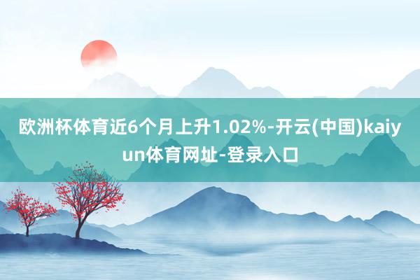 欧洲杯体育近6个月上升1.02%-开云(中国)kaiyun体育网址-登录入口