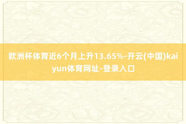 欧洲杯体育近6个月上升13.65%-开云(中国)kaiyun体育网址-登录入口