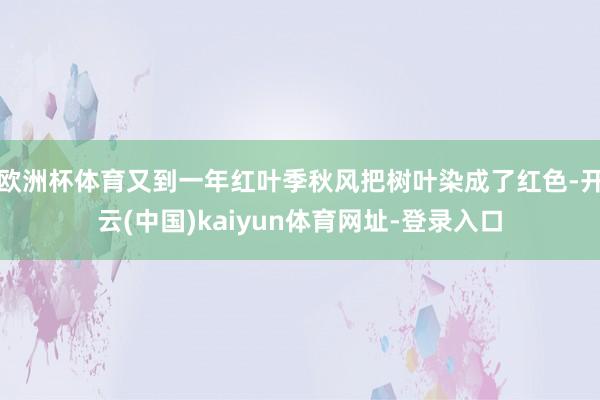 欧洲杯体育又到一年红叶季秋风把树叶染成了红色-开云(中国)kaiyun体育网址-登录入口